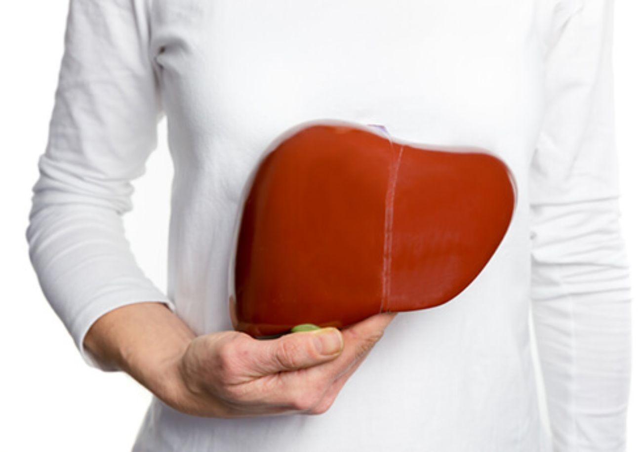 The liver, an essential partner for your daily basis